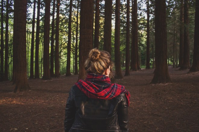 photo-1431623383349-64a0332fa725