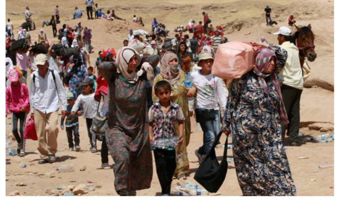 Screen Shot 2015-11-30 at 8.25.09 AM